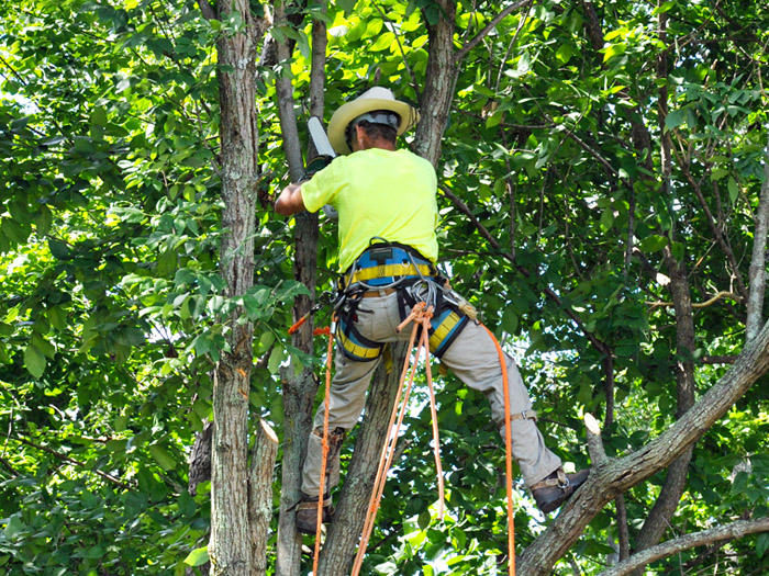 Hazards Risk Assessments